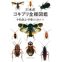 バッタ・コオロギ・キリギリス大図鑑 バッタ・コオロギ・キリギリス大図鑑 | 日本直翅類学会, 石川 均